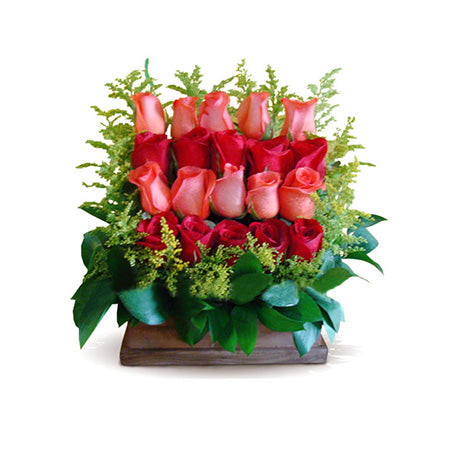 Rosas en forma lineal