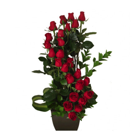 Silueta de rosas
