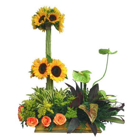 Arreglo moderno con girasoles