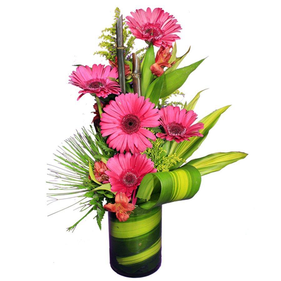 AMISTAD - Domi Delivery