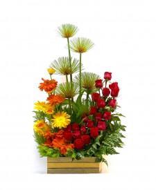 ARREGLO DE GERBERAS Y GIRASOLES - Domi Delivery