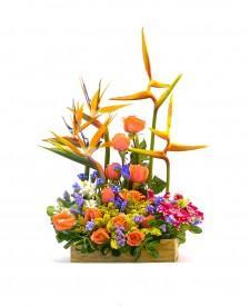 ARREGLO FLORAL EN CAJA VINTAGE CON TROPICALES - Domi Delivery