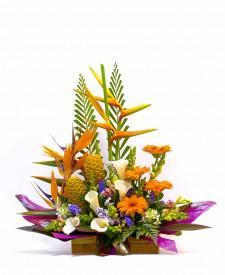 ARREGLOS DE GERBERAS Y FLORES TROPICALES - Domi Delivery