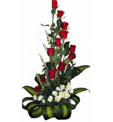 COQUETEO - Domi Delivery