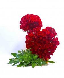 CORAZON CON TOPIARIO - Domi Delivery