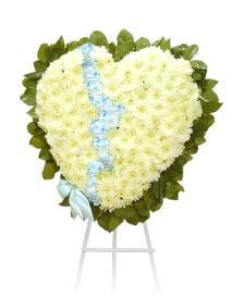 CORAZÓN DE MARGARITAS - Domi Delivery