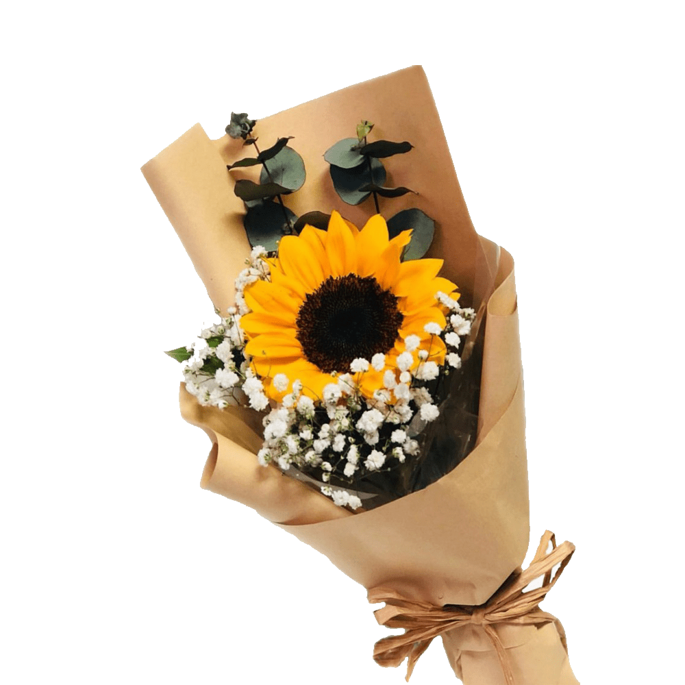 Solitario girasol