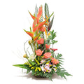Rosas y flores exoticas