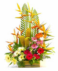 Tropicales y gerberas