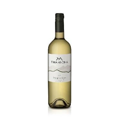 VINO TERRA ANDINA SAUVIGNO BLANC 0,75L  - Domi Delivery